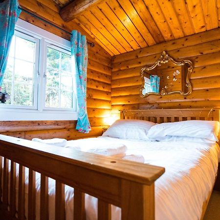 Woodpecker 3 Bedroom Trawsfyndd Holiday Village - Hosted By Seren Property Trawsfynydd Kültér fotó
